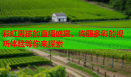 彩虹男孩的直播盛宴，绚丽多彩的视听体验等你来探索