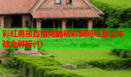 彩虹男孩直播间的精彩瞬间与互动体验全解析(1)