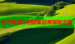 元气兔糖心的甜蜜日常探秘之旅