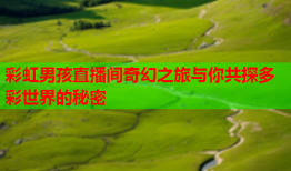 彩虹男孩直播间奇幻之旅与你共探多彩世界的秘密
