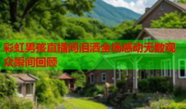 彩虹男孩直播间泪洒全场感动无数观众瞬间回顾