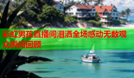 彩虹男孩直播间泪洒全场感动无数观众瞬间回顾