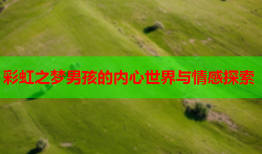 彩虹之梦男孩的内心世界与情感探索