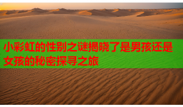 小彩虹的性别之谜揭晓了是男孩还是女孩的秘密探寻之旅