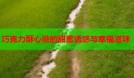 巧克力酥心糖的甜蜜诱惑与幸福滋味