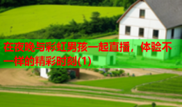 在夜晚与彩虹男孩一起直播，体验不一样的精彩时刻(1)
