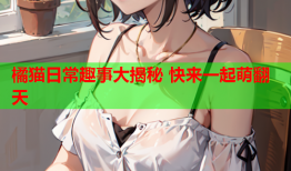 橘猫日常趣事大揭秘 快来一起萌翻天