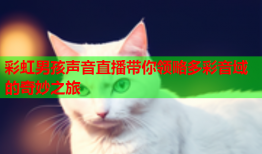 彩虹男孩声音直播带你领略多彩音域的奇妙之旅