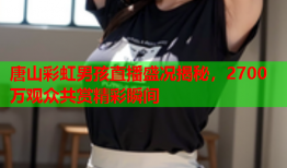 唐山彩虹男孩直播盛况揭秘，2700万观众共赏精彩瞬间