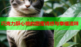 巧克力酥心糖的甜蜜诱惑与幸福滋味