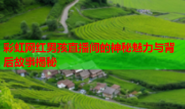 彩虹网红男孩直播间的神秘魅力与背后故事揭秘