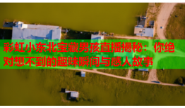 彩虹小东北宝藏男孩直播揭秘：你绝对想不到的趣味瞬间与感人故事