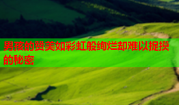 男孩的赞美如彩虹般绚烂却难以捉摸的秘密