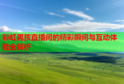 彩虹男孩直播间的精彩瞬间与互动体验全解析