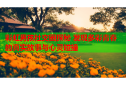 彩虹男孩社交圈探秘 发现多彩青春的真实故事与心灵碰撞