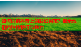 如何识别抖音上的彩虹男孩？揭示他们的独特特征与魅力
