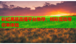 彩虹男孩直播平台推荐，精彩互动等你来体验