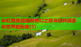 彩虹男孩直播间奇幻之旅与你共探多彩世界的秘密(1)