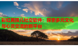 彩虹男孩儿社交软件：探索多元文化与心灵交流的新平台
