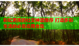 彩虹男孩的社交神器推荐 打造多彩生活的必备应用合集