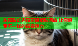 东莞彩虹男孩直播精彩回放 让你感受不一样的青春魅力