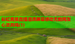 彩虹男孩直播泪洒屏幕感动无数网友心灵共鸣(1)