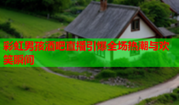 彩虹男孩酒吧直播引爆全场热潮与欢笑瞬间