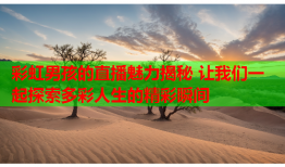 彩虹男孩的直播魅力揭秘 让我们一起探索多彩人生的精彩瞬间