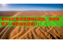 潮州彩虹男孩直播精彩回放，带你体验不一样的视听盛宴(1)
