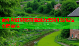 台州彩虹男孩直播魅力无限引发热议全网关注