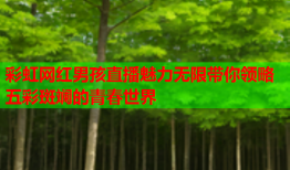 彩虹网红男孩直播魅力无限带你领略五彩斑斓的青春世界