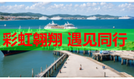 彩虹翱翔 遇见同行