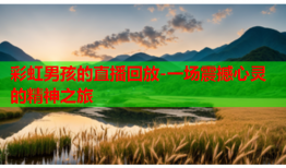 彩虹男孩的直播回放-一场震撼心灵的精神之旅