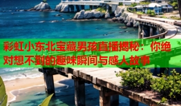 彩虹小东北宝藏男孩直播揭秘：你绝对想不到的趣味瞬间与感人故事