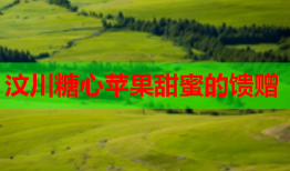 汶川糖心苹果甜蜜的馈赠