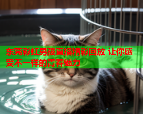 东莞彩虹男孩直播精彩回放 让你感受不一样的青春魅力