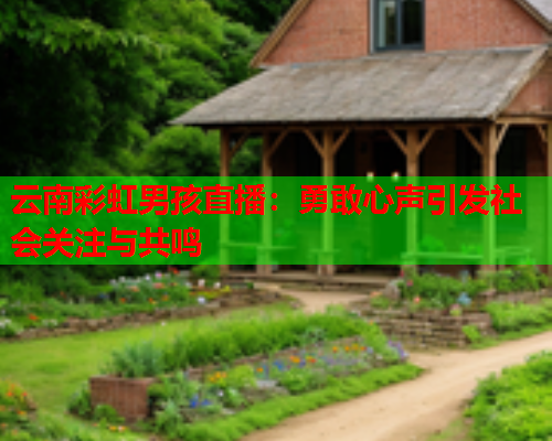 云南彩虹男孩直播：勇敢心声引发社会关注与共鸣
