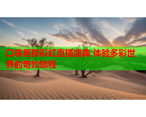 口袋男孩彩虹直播盛典 体验多彩世界的奇妙旅程