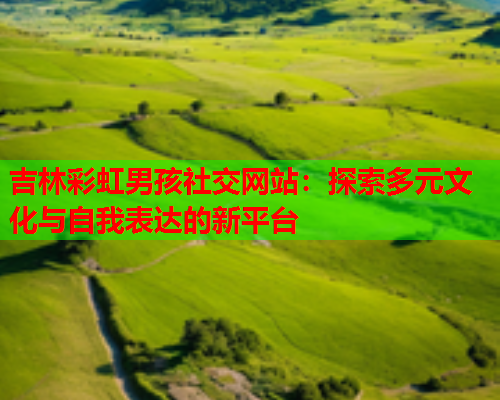 吉林彩虹男孩社交网站：探索多元文化与自我表达的新平台