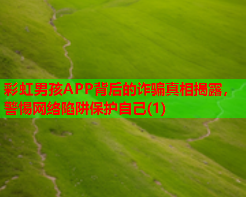 彩虹男孩APP背后的诈骗真相揭露，警惕网络陷阱保护自己(1)