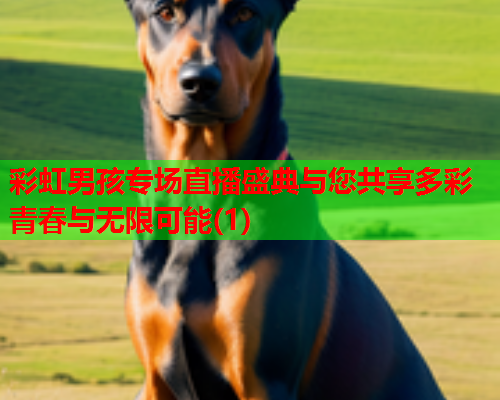 彩虹男孩专场直播盛典与您共享多彩青春与无限可能(1)