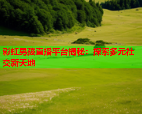 彩虹男孩直播平台揭秘：探索多元社交新天地