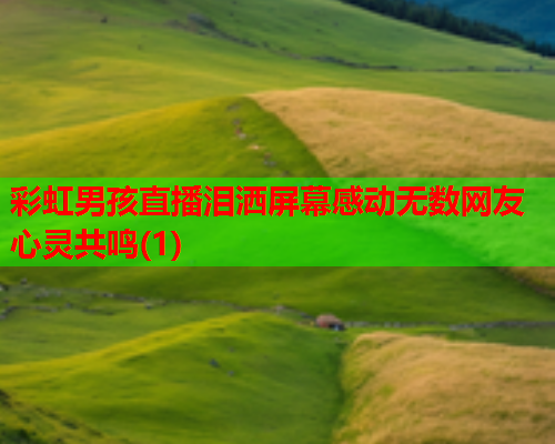 彩虹男孩直播泪洒屏幕感动无数网友心灵共鸣(1)