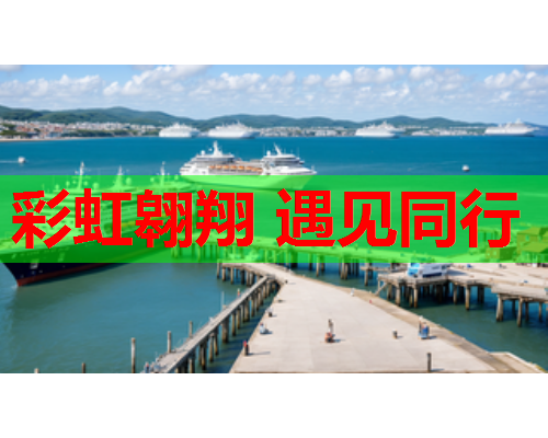 彩虹翱翔 遇见同行