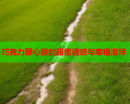 巧克力酥心糖的甜蜜诱惑与幸福滋味