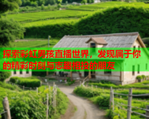 探索彩虹男孩直播世界，发现属于你的精彩时刻与志趣相投的朋友