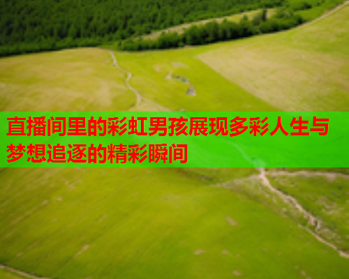 直播间里的彩虹男孩展现多彩人生与梦想追逐的精彩瞬间