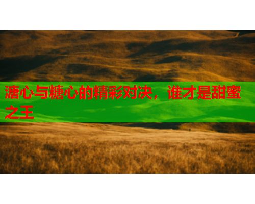 溏心与糖心的精彩对决，谁才是甜蜜之王