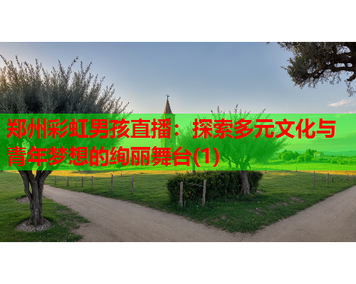 郑州彩虹男孩直播：探索多元文化与青年梦想的绚丽舞台(1)