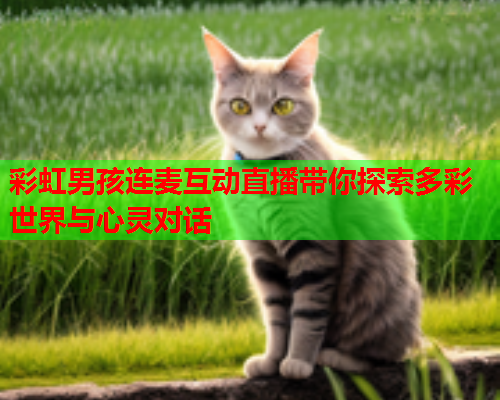 彩虹男孩连麦互动直播带你探索多彩世界与心灵对话